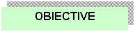 Text Box: OBIECTIVE

